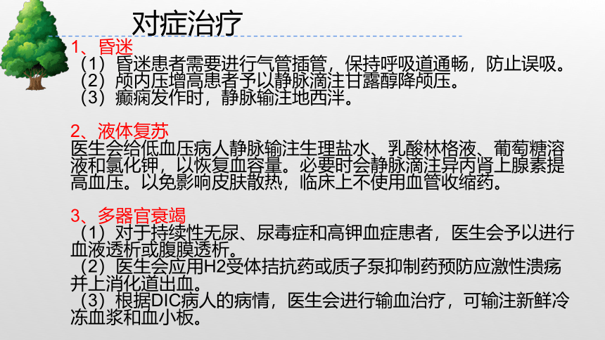 2.3 清凉夏日行 课件——二年级综合实践活动下册（浙教版）