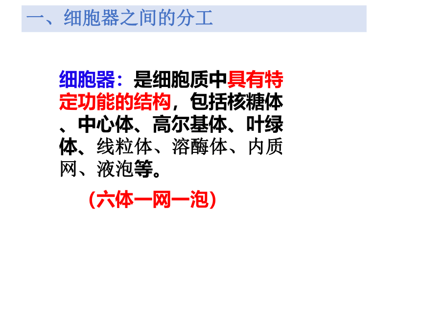 2021-2022学年高一上学期生物人教版（2019）必修一3.2细胞器之间的分工合作  课件 （20张ppt）