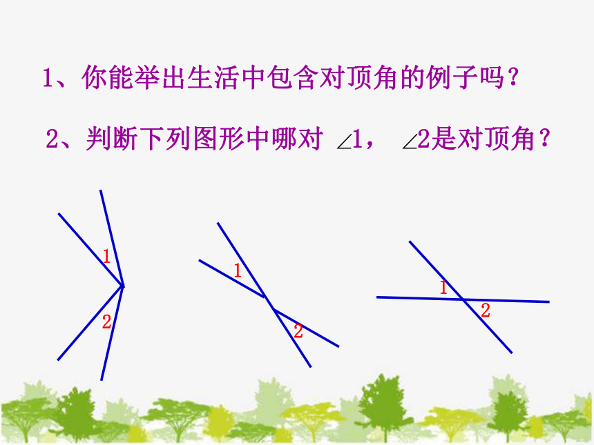 湘教版数学七年级下册 4.1.2 相交直线所成的角4课件(共11张PPT)