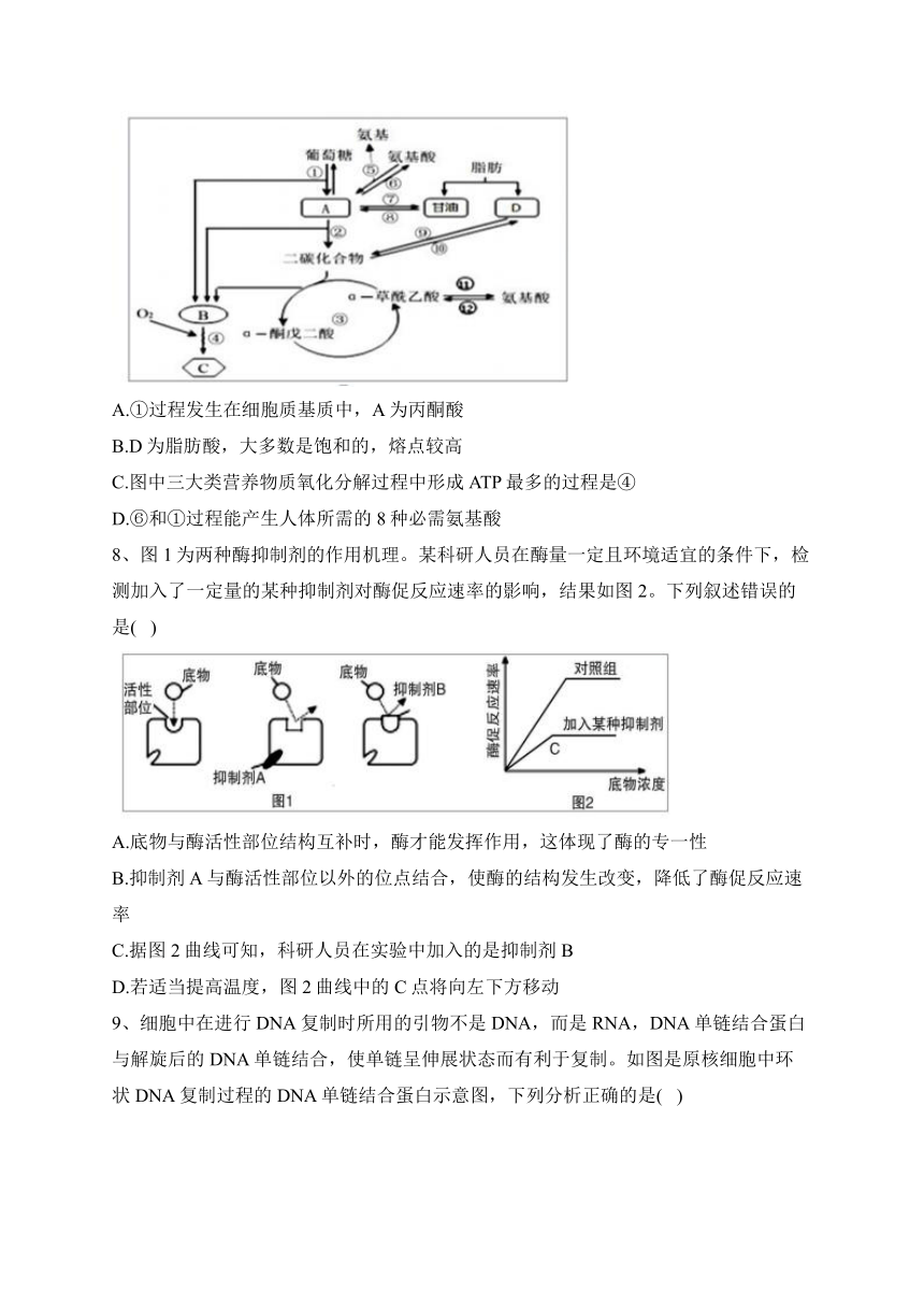 辽宁省丹东市2023届高三下学期总复习质量测试（二）生物试卷（word版含答案）