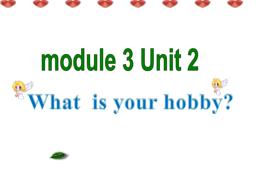 Module 3 Unit 2 What’s your hobby?课件  (共22张PPT)