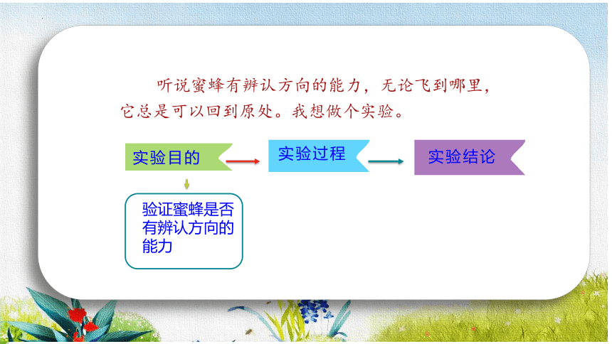 14《蜜蜂》课件