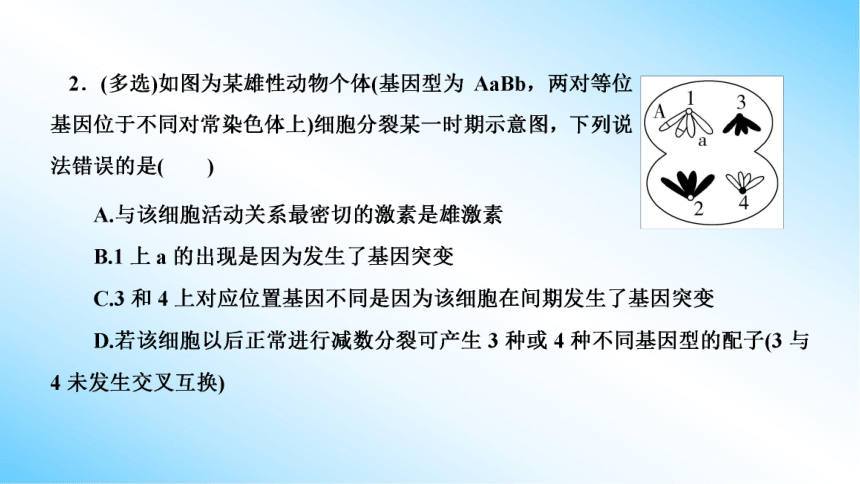 【课件版学案】第5章(微专题2) 基因突变和基因重组类型的判断  人教版2019必修2(共18张PPT)