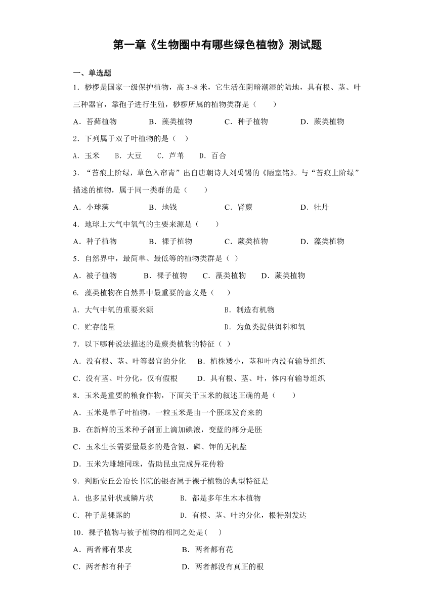 人教版生物七年级上第三单元第一章《生物圈中有哪些绿色植物》测试题（word版含答案）