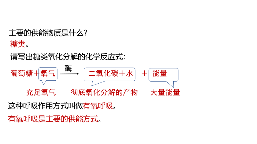 4.4 能量的获得(课件 21张PPT)