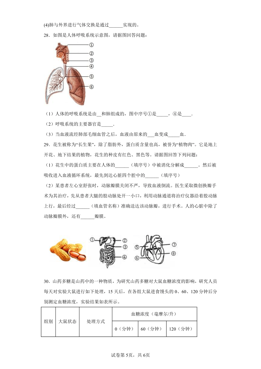 济南版生物七年级下册期末检测夯实基础强化训练试题5（含解析）