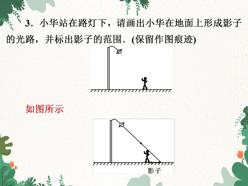 沪粤版物理八年级上册 第三章光与眼睛专题　光学作图课件(共18张PPT)