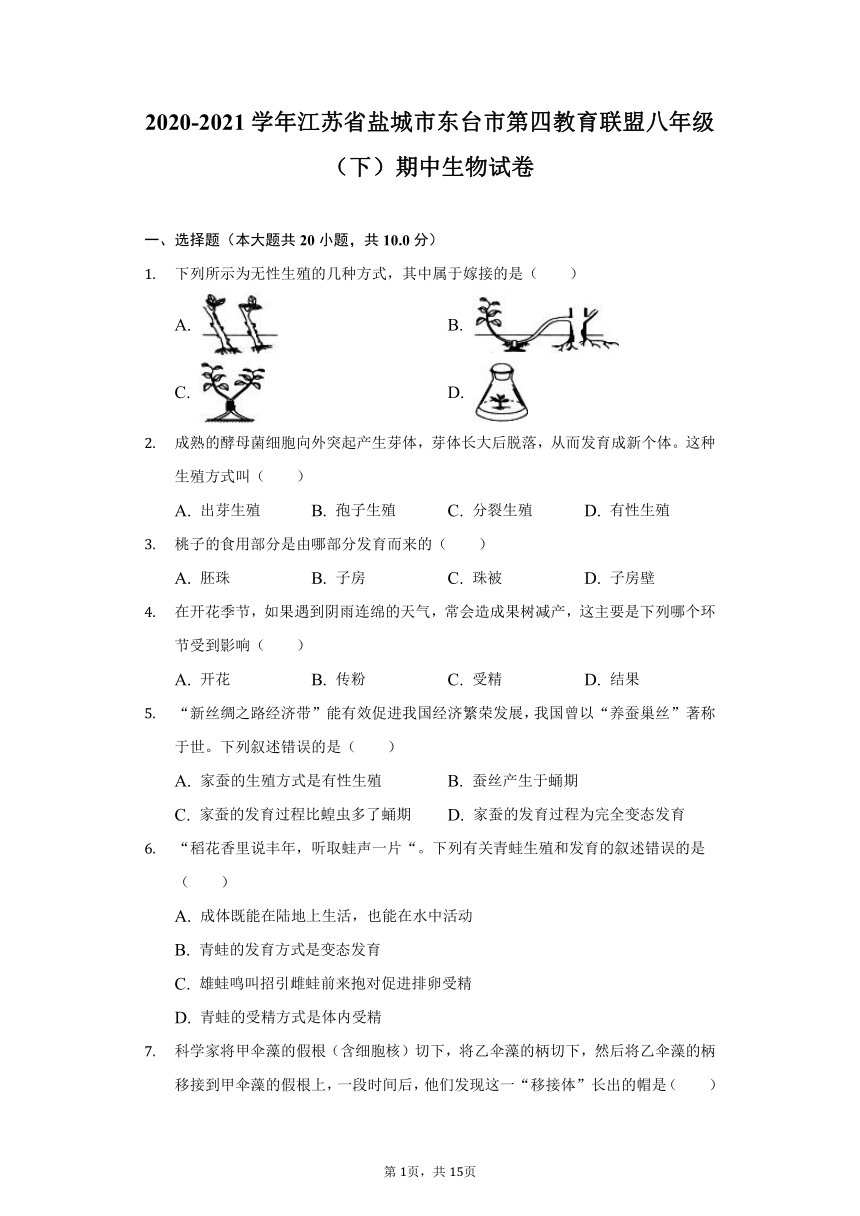 2020-2021学年江苏省盐城市东台市第四教育联盟八年级（下）期中生物试卷（word版含解析）