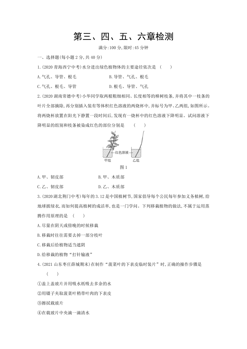 第三单元 生物圈中的绿色植物（第三、四、五、六章）练习(word版含解析）