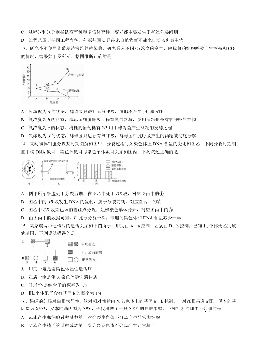 广东省汕尾市2020-2021学年高一下学期期末考试生物试题 Word版含解析