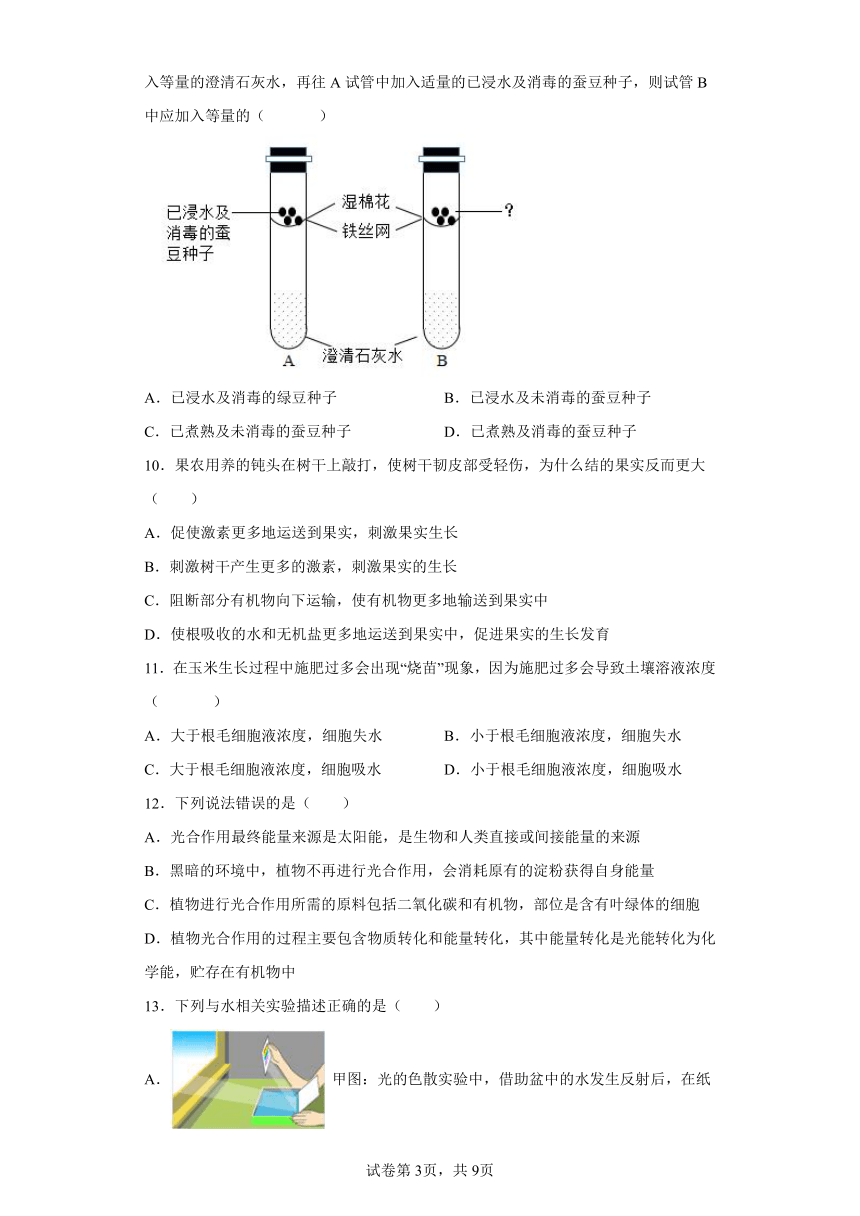 2022年浙江省中考科学专题练习：植物新陈代谢（含解析）