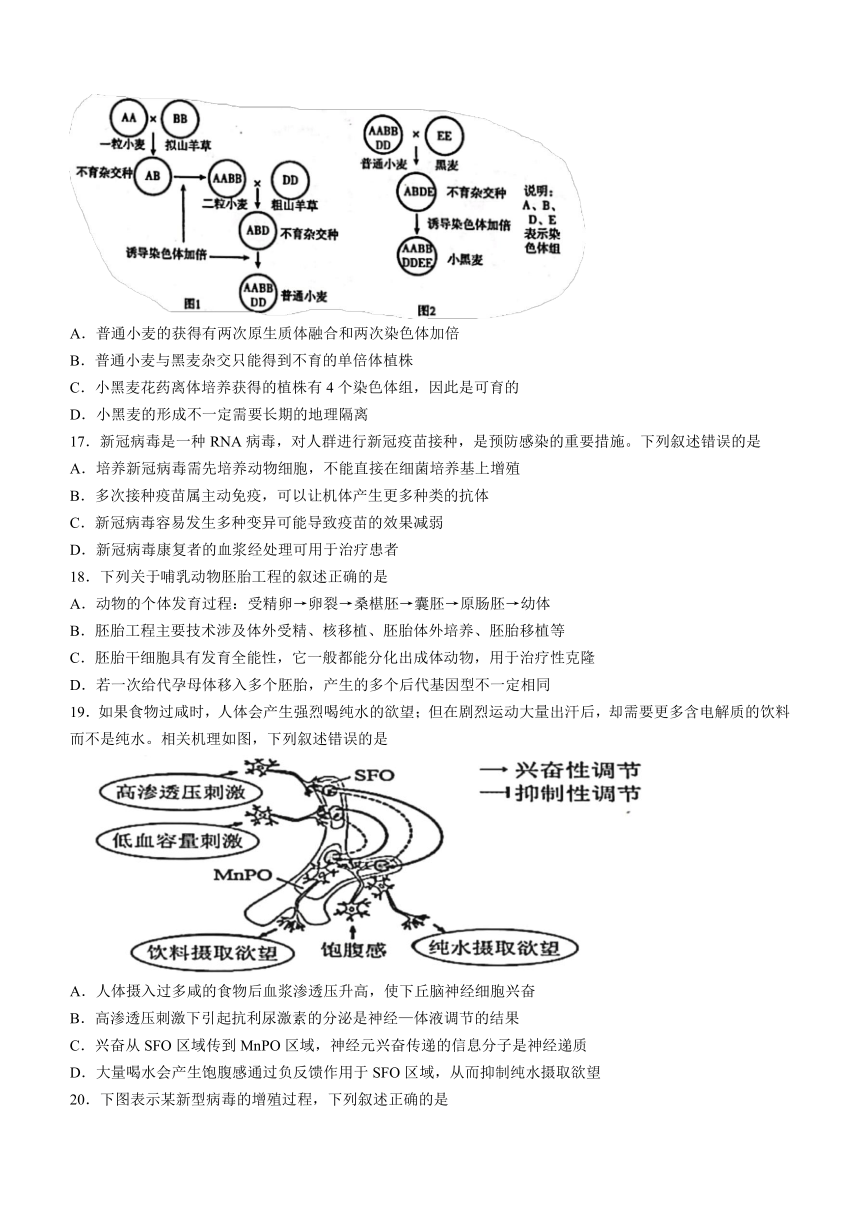 浙江省十校联盟2021-2022学年高二下学期5月阶段性测试联考生物学试题（Word版含答案）