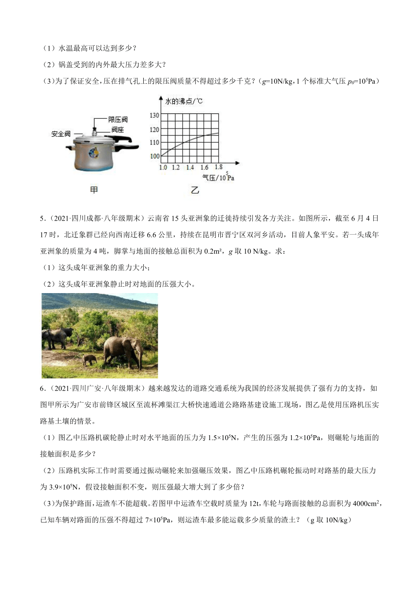 压强、浮力计算题——四川省各地2020-2021学年八年级下学期物理期末试题分类选编（有解析）