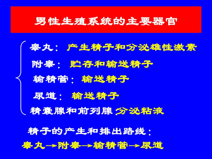 2021--2022学年济南版八年级上册 4.3.1婴儿的诞生课件（共42张PPT ）