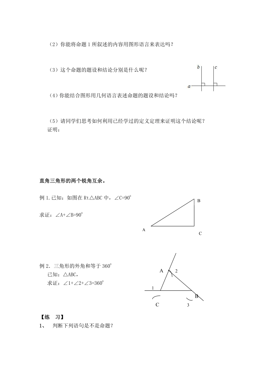 华师版八年级上册数学 13.1.1 命题【教案】
