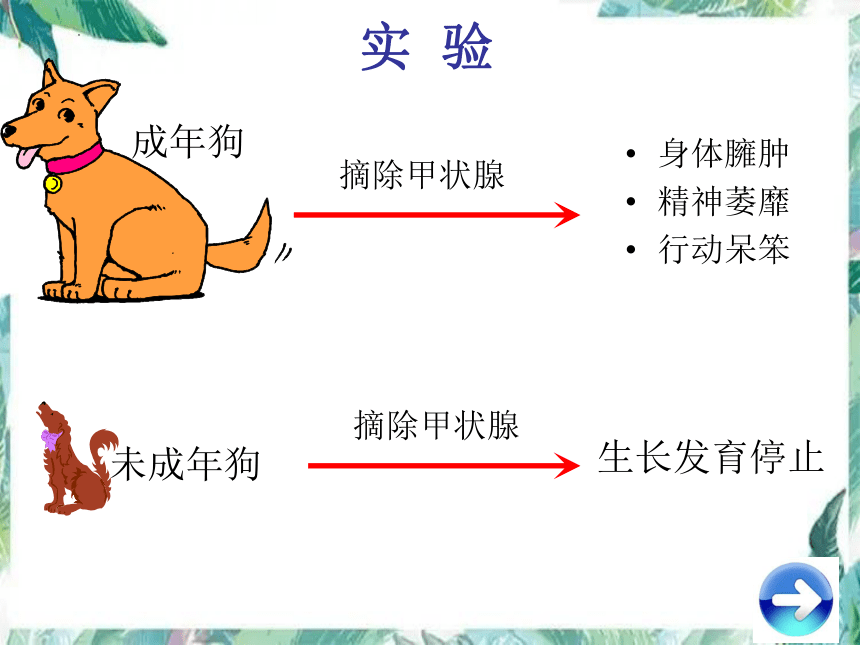 2021--2022学年北师大版生物七年级下册4-12-3激素调节课(PPT.35张)