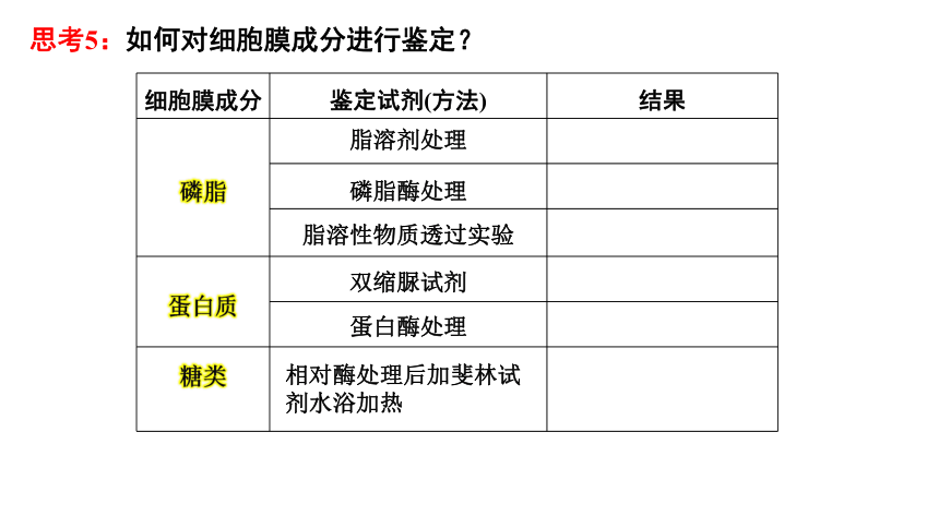 【备考2022一轮复习】&1.3细胞膜、细胞膜探索历程、细胞核（共33张ppt）