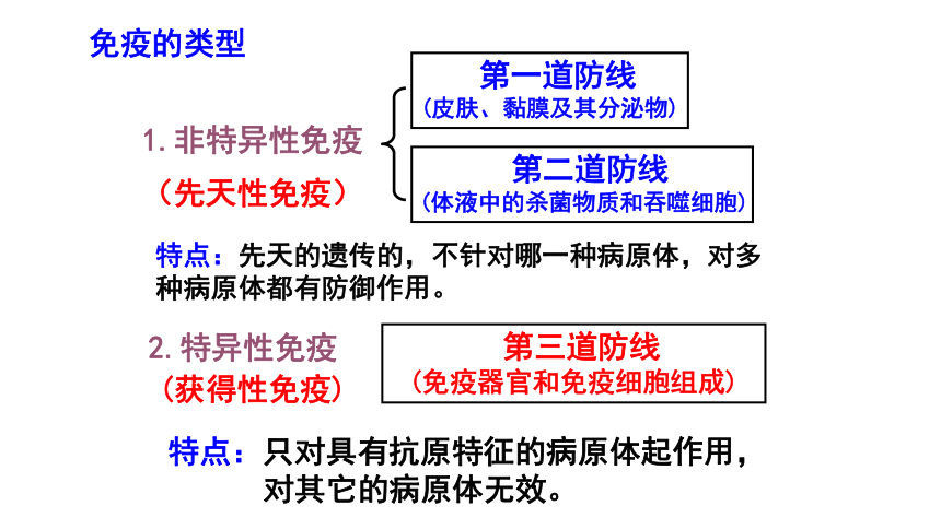 2021—2022学年 高二上学期 人教版 必修三2.4  免疫调节  课件（41张ppt）