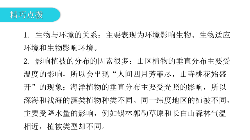 2020-2021学年八年级生物下册（北师大版）  23.1  生物的生存依赖一定的环境 课件（共28张PPT）