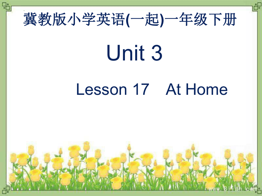Unit3 Lesson17 At Home 课件(共13张PPT)