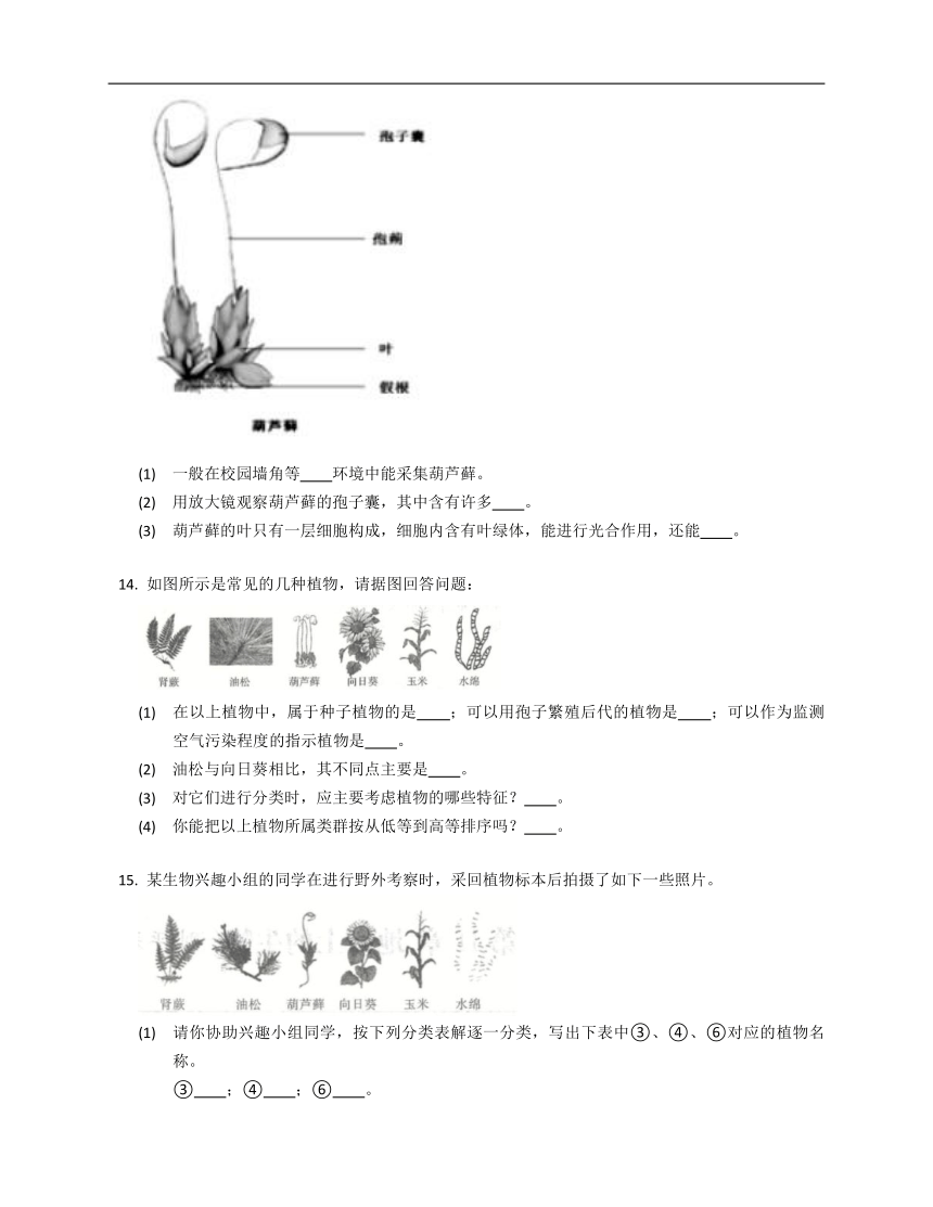 北京版八年级下13.4植物同步练习（含答案）