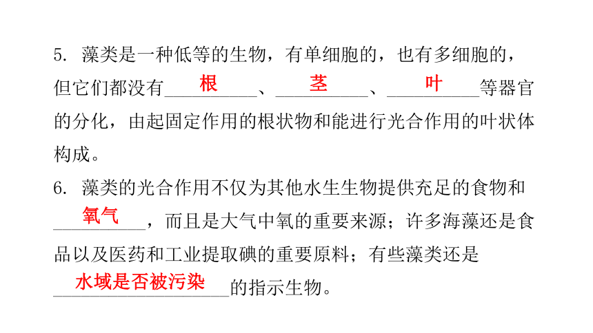 2020-2021学年八年级生物下册（北师大版）22.2  原生生物的主要类群 课件（24张PPT）