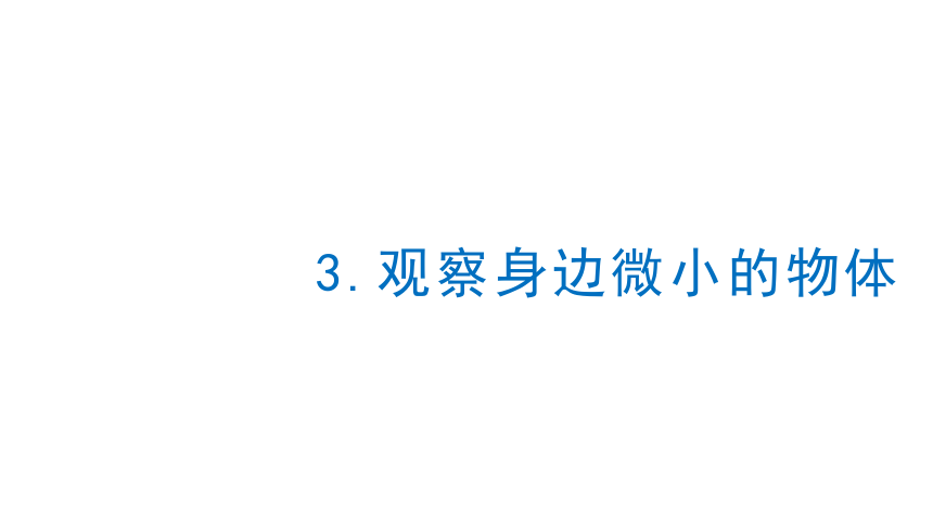 教科版（2017秋）六年级上册科学1.3 观察身边微小的物体 （课件17张ppt）