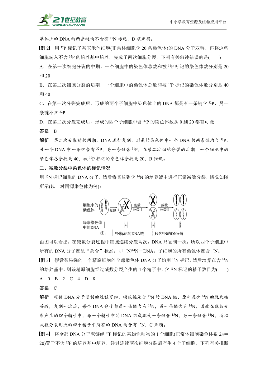 生物新教材（2019）生物必修2微专题(4)第3章　基因的本质 微专题—DNA复制与细胞分裂中的染色体标记问题学案（Word版含答案）