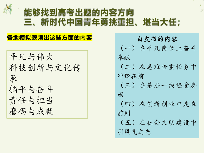 2023届高考作文复习： 青年白皮书与高考作文  课件(共27张PPT)