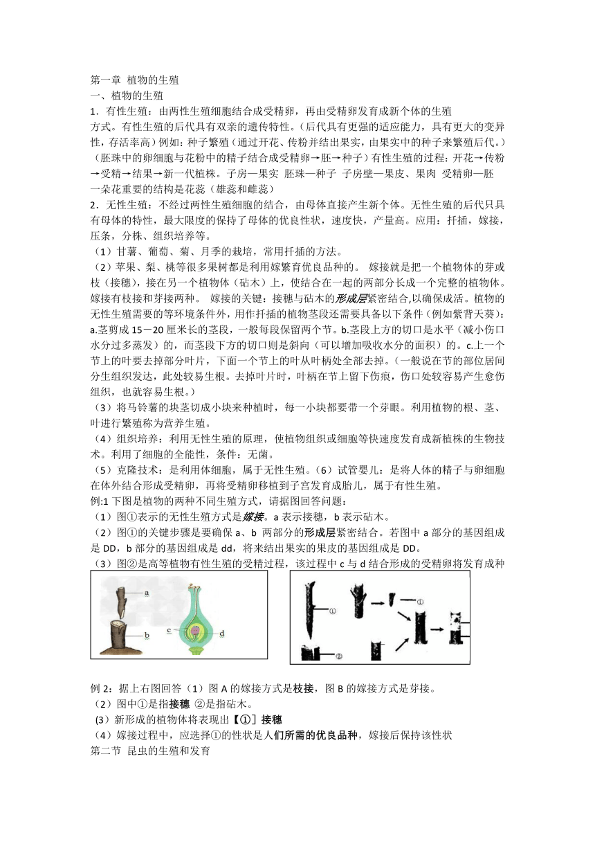 2022-2023学年人教版生物八年级下册知识点汇总