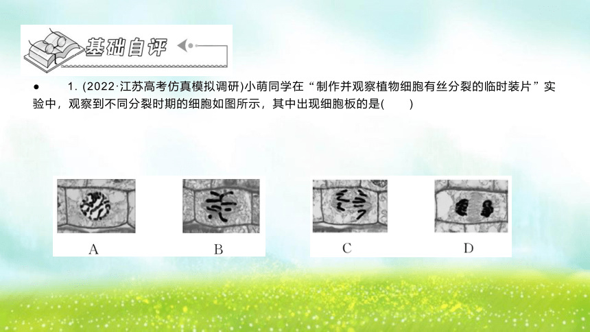 【二轮专题课件】专题2 生命的细胞基础 第3讲 细胞的生命历程(含减数分裂)(共46张PPT)