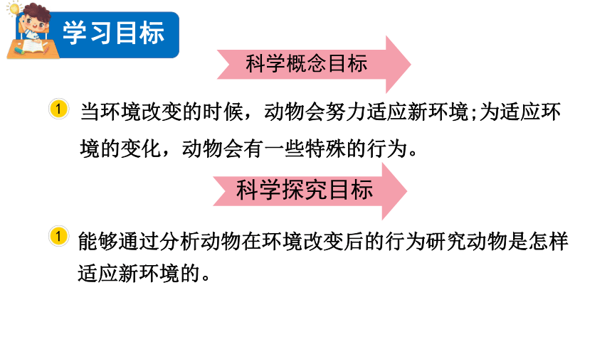 2023春教科版五年级科学下册1.5 当环境改变了 课件（21张PPT）