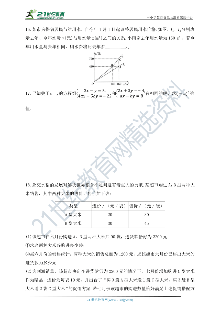 鲁教版七年级下册专项训练 二元一次方程组（含答案）