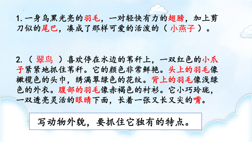 部编版四年级语文下册《习作：我的动物朋友》   课件(共15张PPT)