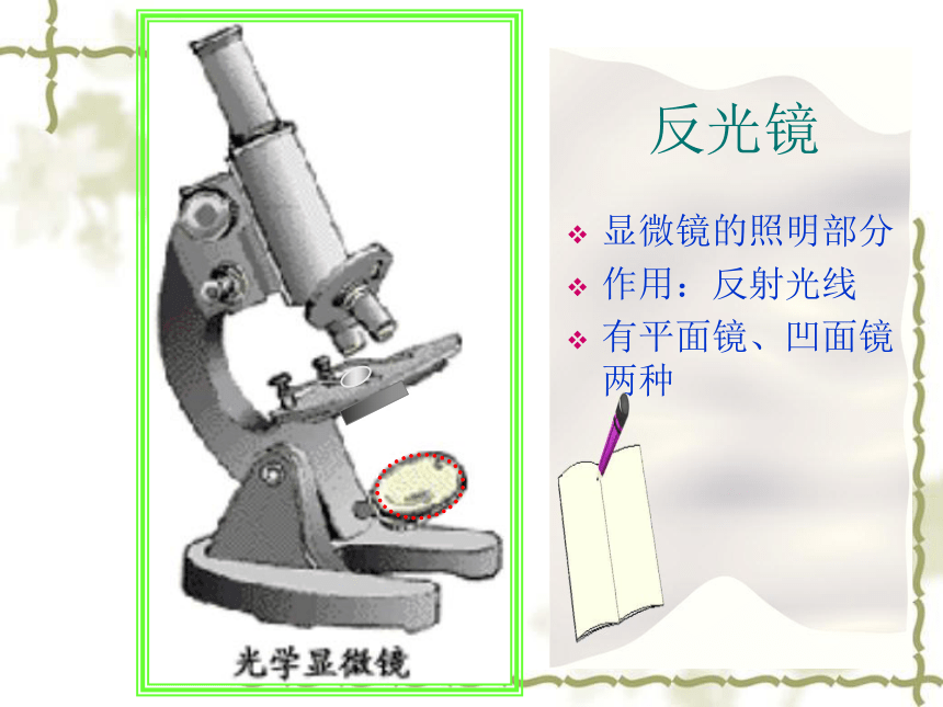 人教版七年级上册生物学2.1.1练习使用显微镜课件(共39张PPT)