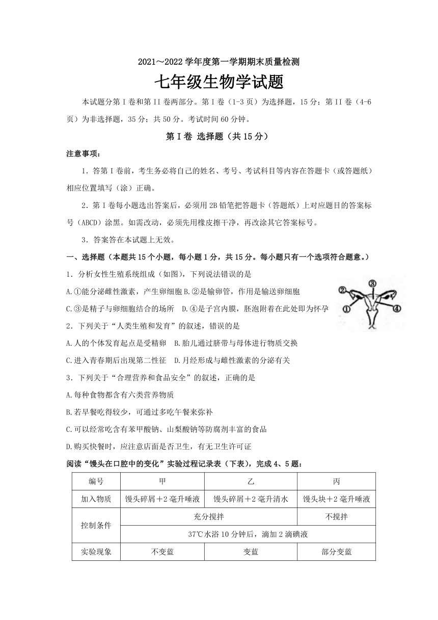 山东省泰安市东平县（五四学制）2021--2022学年七年级上学期期末生物试题（word版无答案）