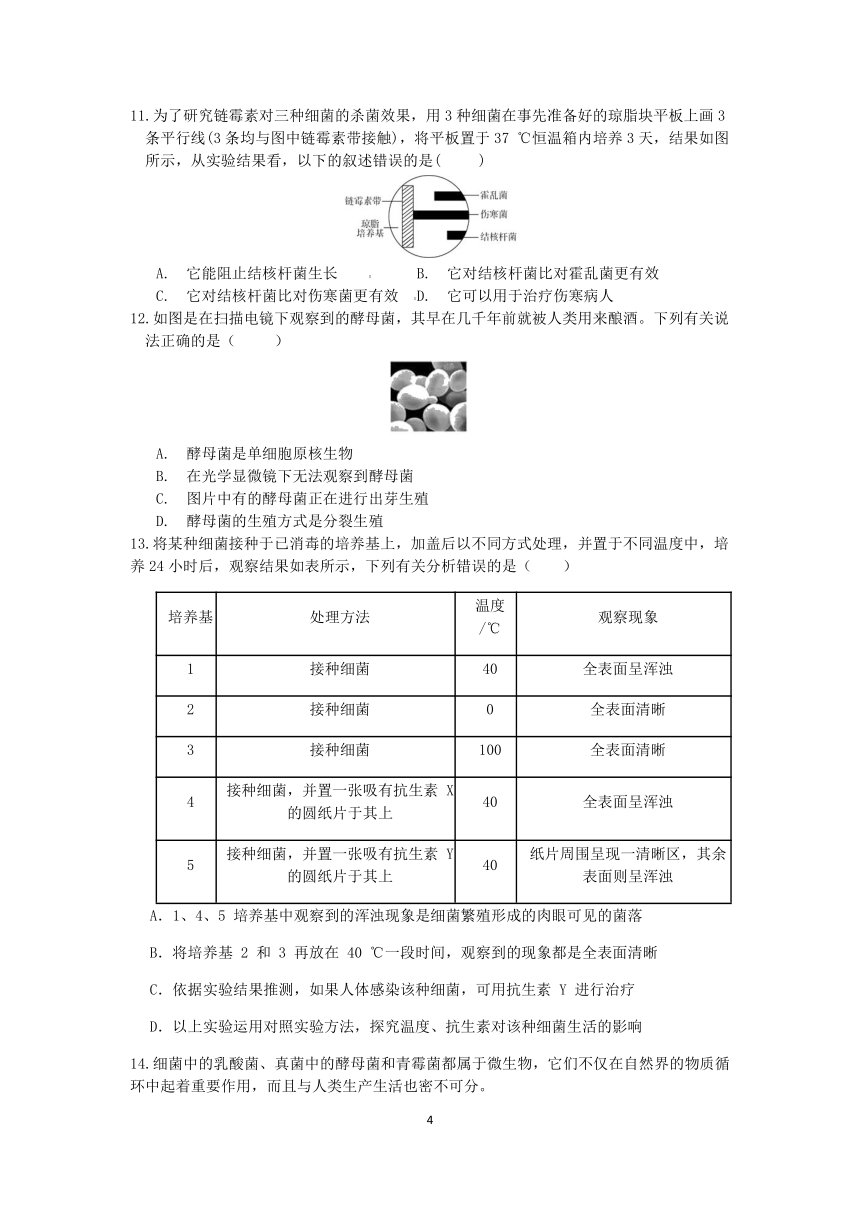 浙教版七年级科学2022-2023学年第二学期期末复习专题训练（十七）：微生物的繁殖【word，含解析】