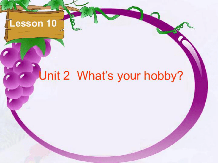 Unit2 What's your hobby？（Lesson10) 课件（20张PPT）