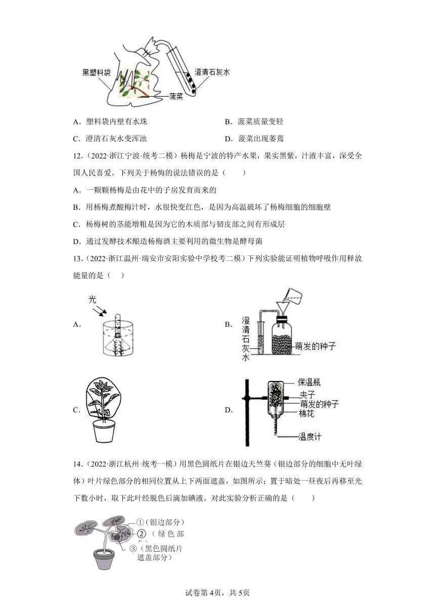 浙江省2022年中考科学模拟题汇编-08绿色植物的新陈代谢（选择题，含解析）