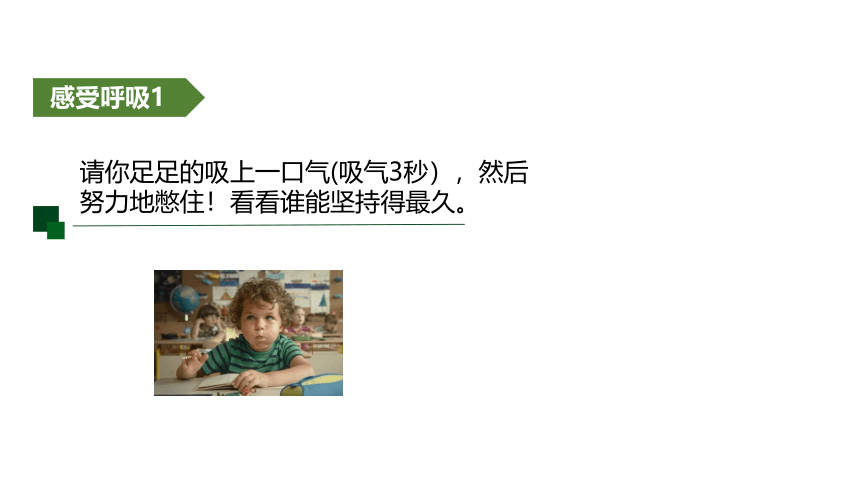 3.5 生物的呼吸和呼吸作用 课件（32张PPT)