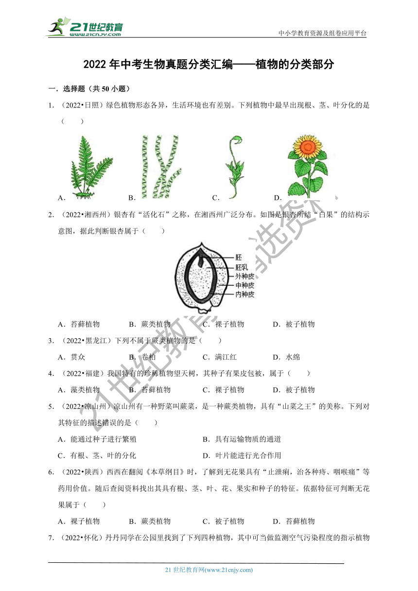 【备考2023】2022年中考生物真题分类汇编12——植物的分类部分（含解析）