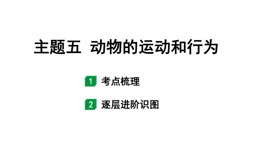 2024云南中考生物二轮中考考点研究  主题五 动物的运动和行为课件(共16张PPT)