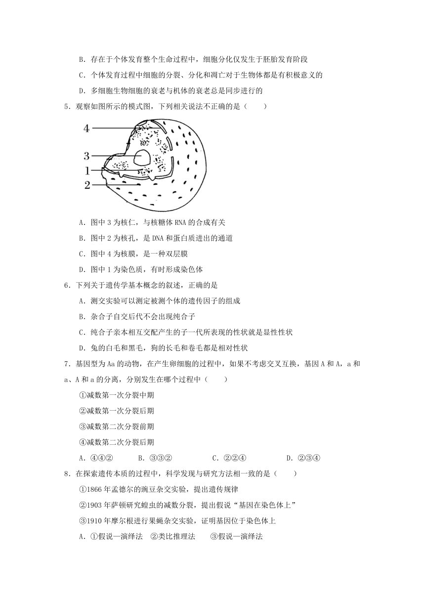 西藏自治区拉萨市2020-2021学年高一下学期期末考试理综试题 Word版含答案