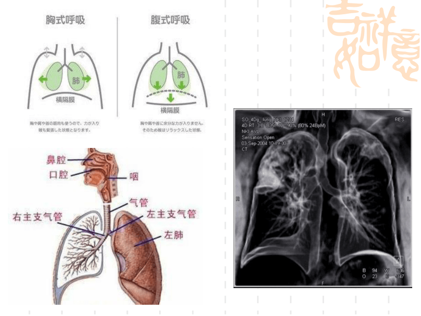生物奥赛_第三节  呼吸作用(共39张PPT )
