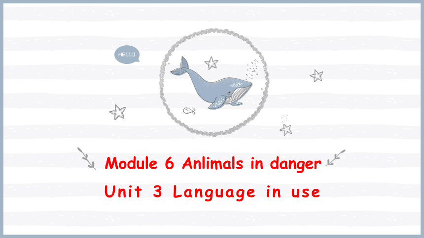 Module 6 Unit 3 Language in use .课件(共19张PPT)   2022-2023学年外研版八年级英语上册