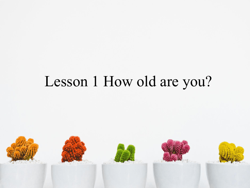 三年级下册英语课件-  Lesson 1 How old are you｜接力版 (共15张PPT)