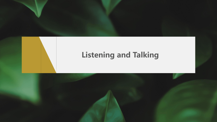Unit 3 Listening and Talking课件（共22张PPT）人教版（2019）选择性必修第三册