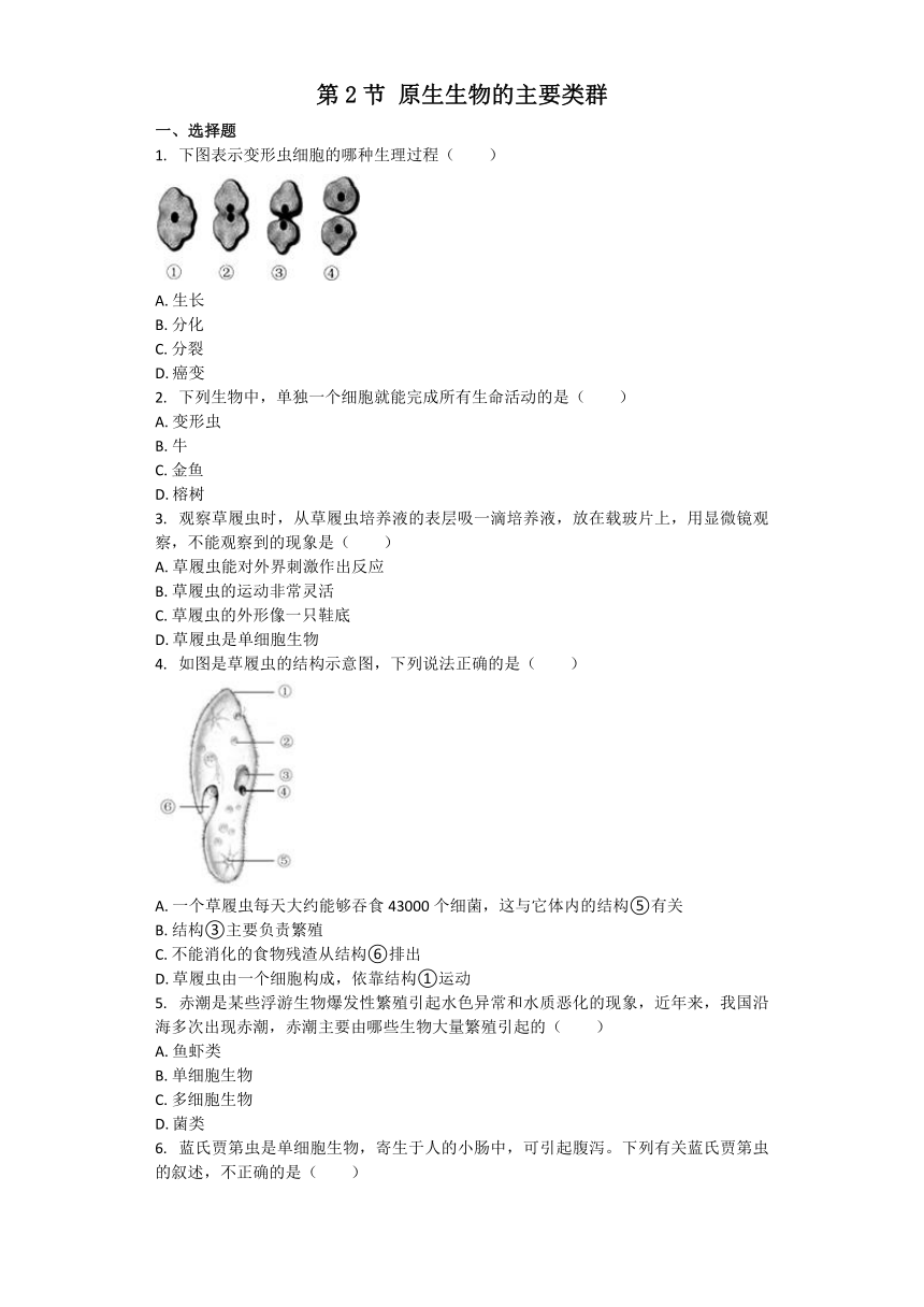 生物北师大版八年级下册 第22章第2节 原生生物的主要类群 课后习题（word版含解析）