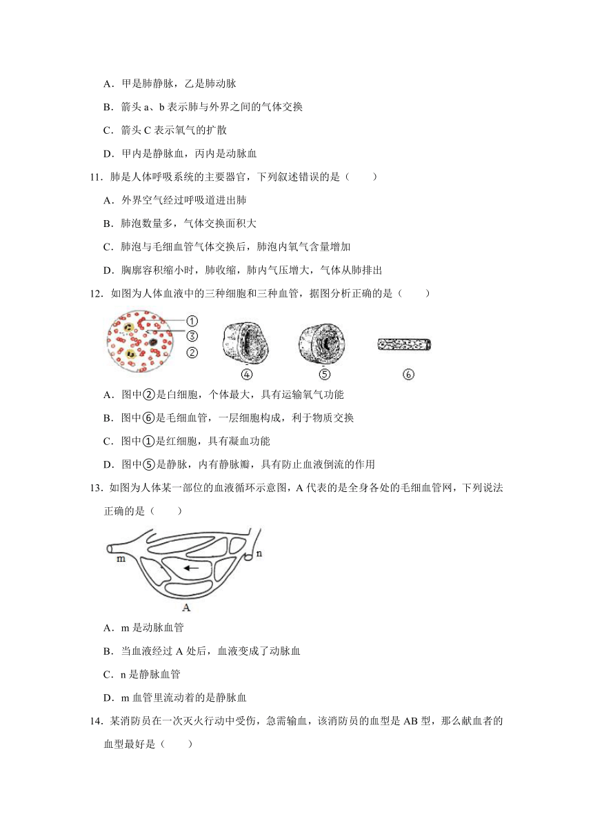 2020-2021学年内蒙古通辽市霍林郭勒市七年级（下）期末生物试卷 （word版 含解析）