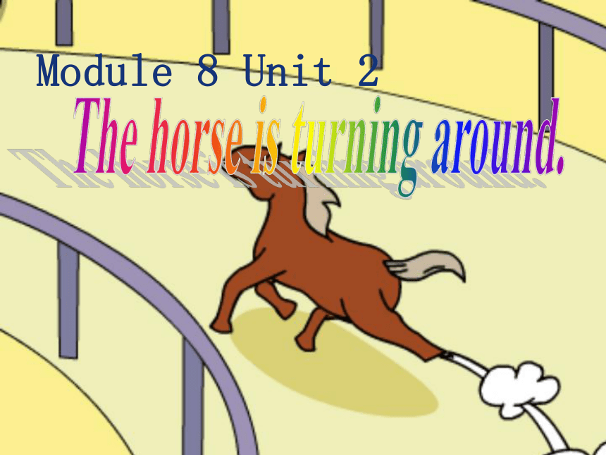 Module 8 Unit 2 The horse is turning around.课件（共14张PPT）